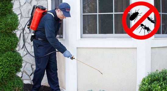 Sumbas Kene İlaçlama böcek ilaçlama ve haşere kontrolü — ilaclama-tr.com